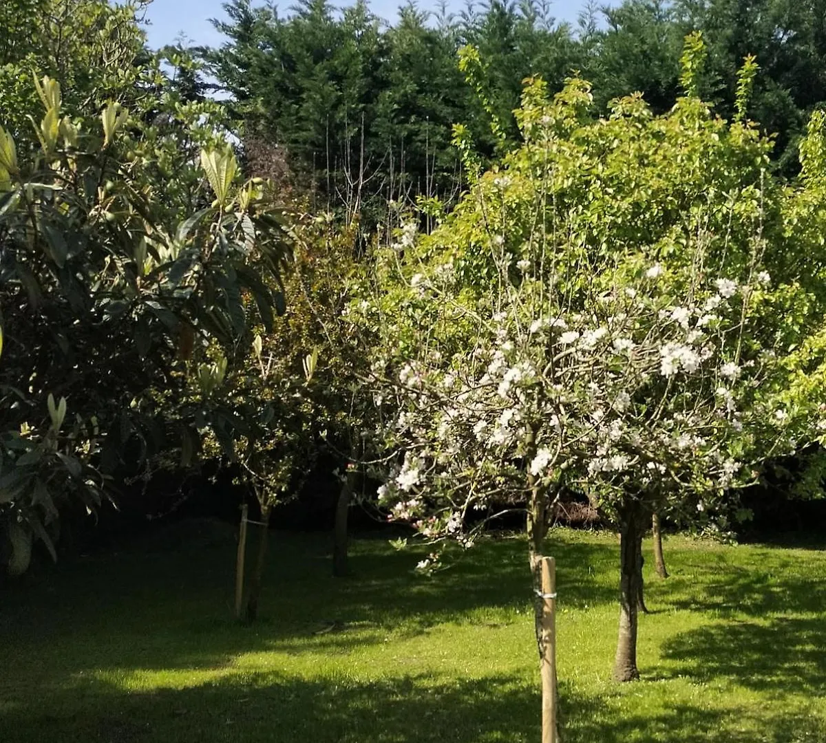 Villa Gueezmes Somo Holiday home